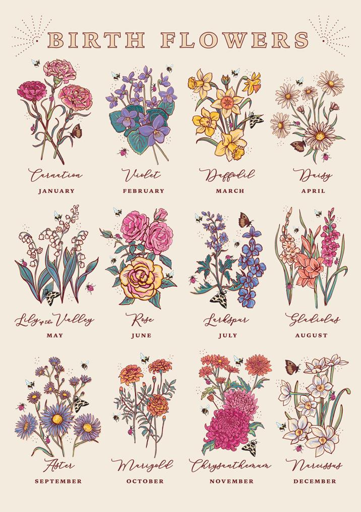 57AS131 - Birth Flowers Greeting Card (Pack of 6)