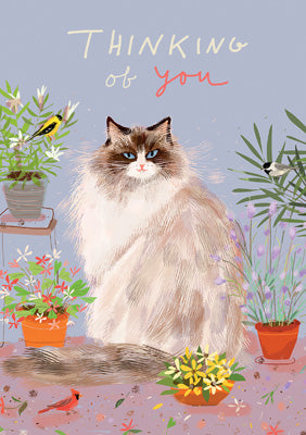 57DC06 - Thinking of You Cat Greeting Card (6 Cards)