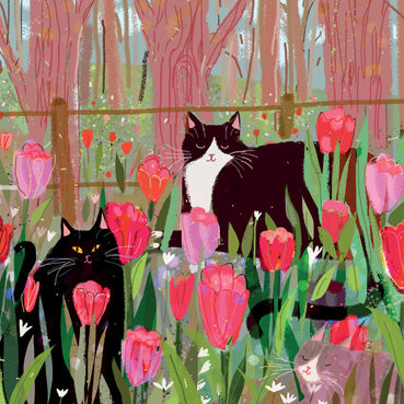 DCT107 - Cats and Tulips Greetings Card (6 Cards)