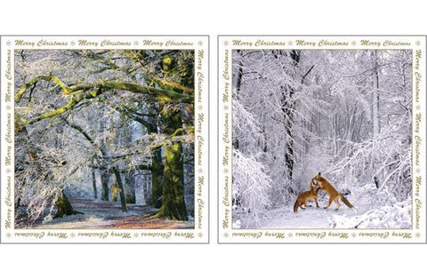 NC-XM502 - Winter Woodland and Foxes Christmas Notecards  (3 Packs of 6 cards)