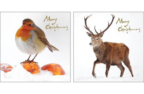 NC-XM505 - Robin and Stag Christmas Notecard Pack  (3 Packs of 6 cards)
