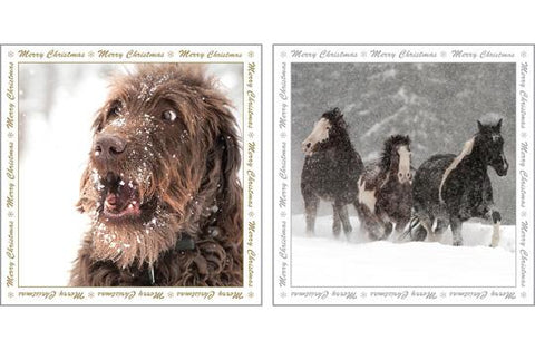 NC-XM513 - Dog and Horses in Snow Christmas Notecard Pack  (3 Packs of 6 cards)