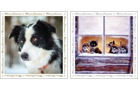 NC-XM515 - Dogs in the Snow Christmas Notecard Pack  (3 Packs of 6 cards)