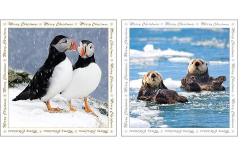 NC-XM516 - Puffin and Sea Otters Christmas Notecard Pack  (3 Packs of 6 cards)