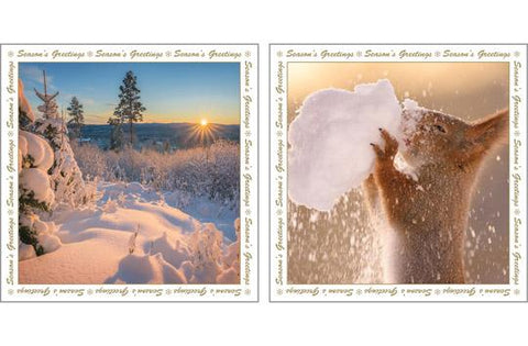 NC-XM532 - Winterscene and Snowball Squirrel Christmas Card Pack  (3 Packs of 6 cards)