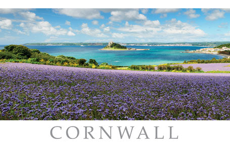 PCC769 - St Michael's Mount Cornwall Postcard (25 Cards)