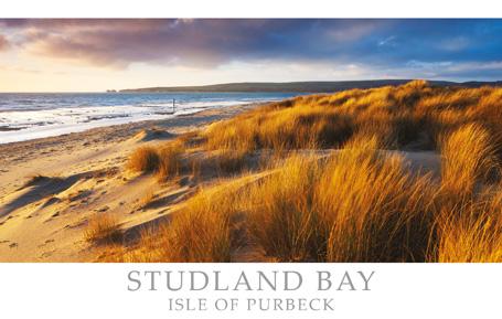 PDR527 - Studland Bay Isle of Purbeck Dorset Postcard