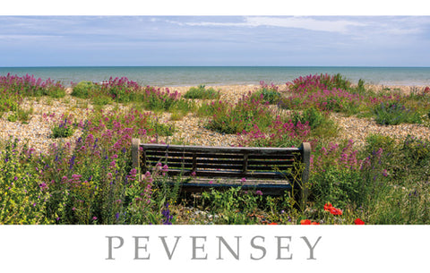 PSX527 - Pevensey Beach Postcard (25 Postcards)