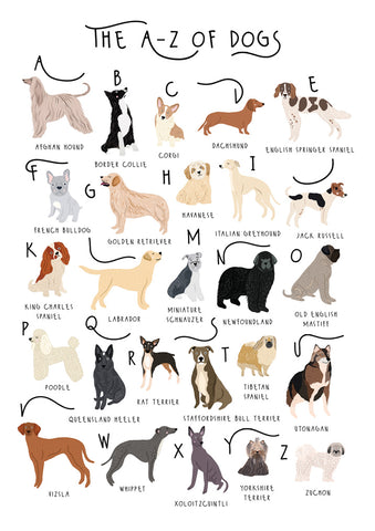 57BB101 - The A-Z of Dogs Greeting Card (6 Cards)