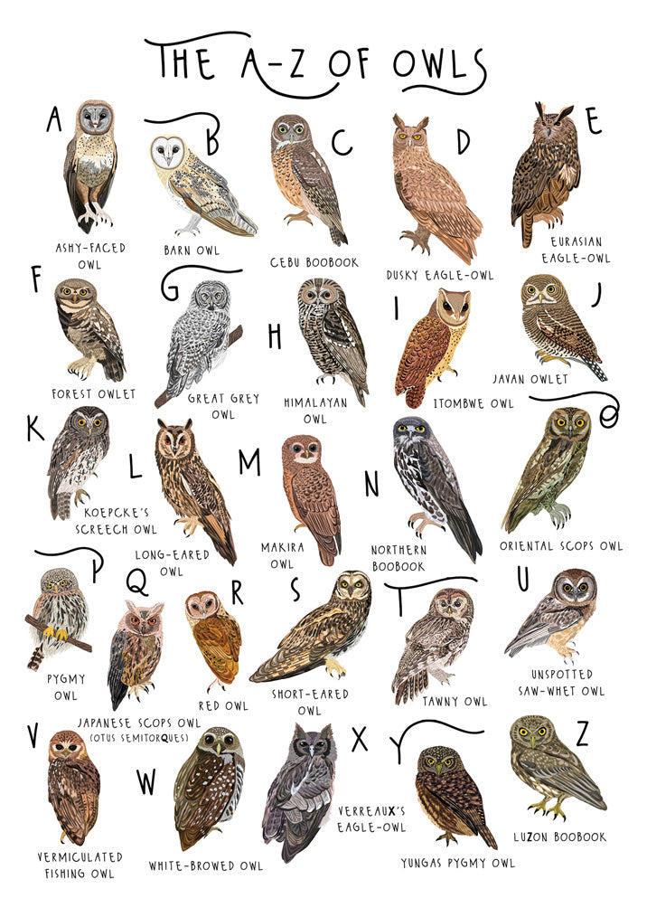 57BB103 - A-Z of Owls  Greeting Card (6 Cards)