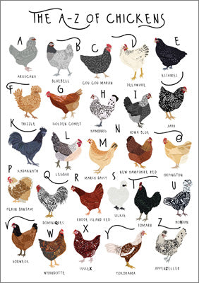 57BB105 - A-Z of Chickens Greeting Card