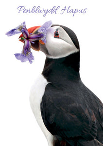 DG110 - Happy Birthday (Welsh) Puffin - (6 cards)