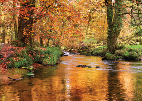 CAL943 - Cornwall Photographic Calendar 2027