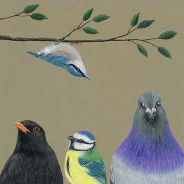 COR113 - The Birds Art Card (6 Cards)