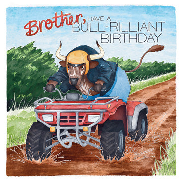 ECR116 - Bull-rilliant Brother Birthday Car (6 Cards)