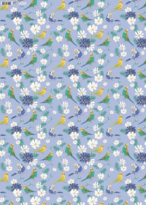 GW-ANG763 - Budgerigars Gift Wrap (6 sheets with tag)