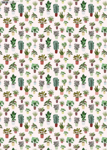 GW-BEA760 - Houseplants Gift Wrap (6 sheets and Tags)