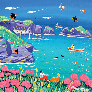 JDG168 - Sea Pinks at Padstow (6 Cards)