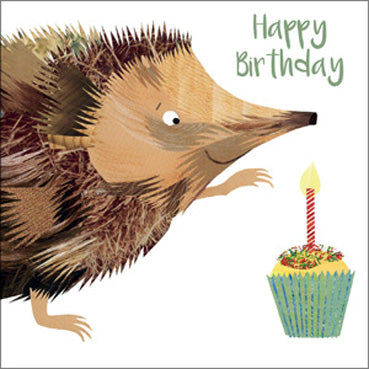 KS103 - HAppy Birthday (Hedgehog) Greeting Card (6 Cards)