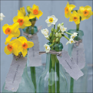 L411 - Daffodils Greeting Card (Pack of 6)