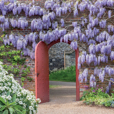 L414 - Wisteria Greeting Card (6 Cards)