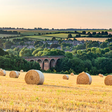 L435 - Fields of Gold Greeting Card (6 Cards)