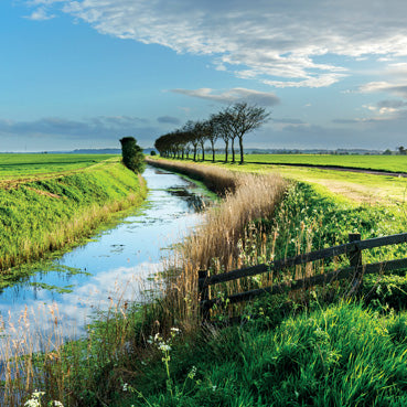 L441 - Dungeness & Romney Marsh Greeting Card (6 Cards)