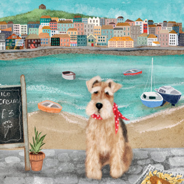 LIA107 - Alfie at St Ives Greeting Card (6 Cards)