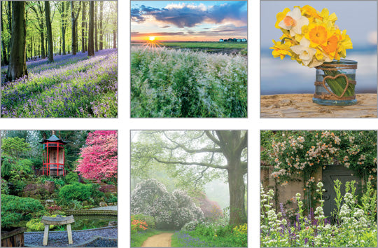 NCGL518 - The Good Life Notecard Pack 18 (1 unit = 3 packs of 6 cards)