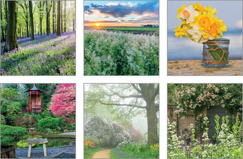 NCGL518 - The Good Life Notecard Pack 18 (1 unit = 3 packs of 6 cards)