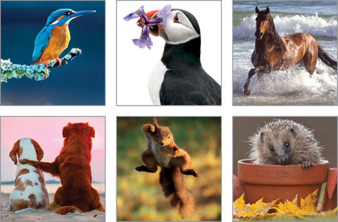 NC-GL520 - The Good Life Notecard pack 20 (1 unit = 3 packs)