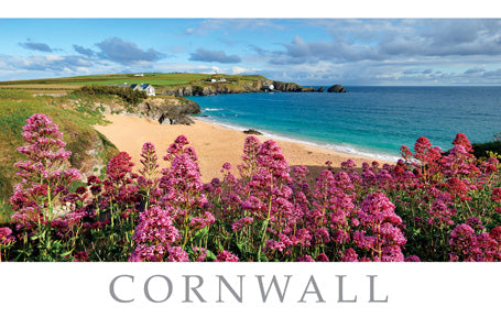 PCC812 - Mother Ivey's Bay Postcard (1 unit = 25 PCs)