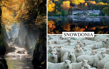 PCW628 - Snowdonia Montage PC (1 unit = 25 PCs)