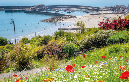 PDR550 - Lyme Regis Postcard (1 unit = 25 Postcards)