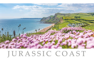 PDR551 - Jurassic Coast Postcard (1 unit = 25 postcards)