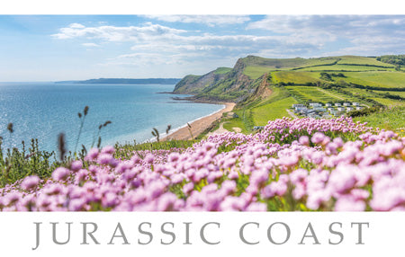PDR551 - Jurassic Coast Postcard (1 unit = 25 postcards)