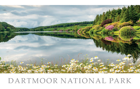 PDV651 - Dartmoor National Park Postcard (1 unit = 25 postcards)