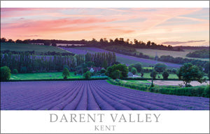 PKT511 - Darent Valley Postcard - (1 unit = 25 PCs)