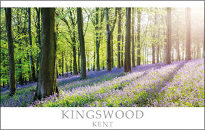 PKT532 - Kingswood near Maidstone Postcard (1 unit = 25 PCs)