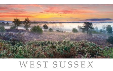PSX567 - Carte postale Midhurst West Sussex (25 cartes postales)
