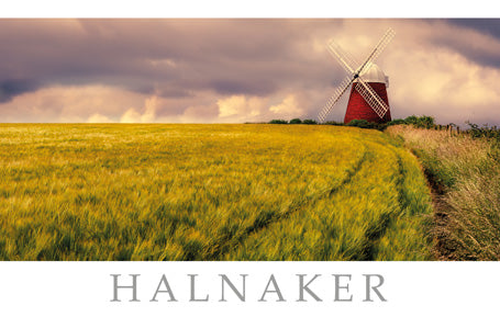 PSX570 - Carte postale du moulin à vent Halnaker (25 pièces)