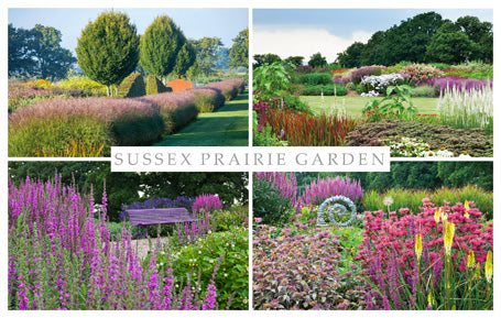 PSX579 - Sussex Prairie Gardens PC (25 pcs)