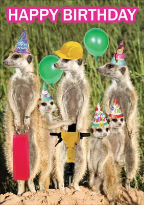 57AP06 – Carte d'anniversaire Joyeux anniversaire (suricates) (message à l'intérieur)