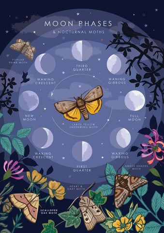 57AS113 - Moon Phases and Moths Greeting Card