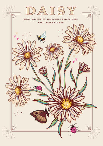 57AS118 - Carte de vœux Marguerite (fleur de naissance d'avril) (6 cartes)