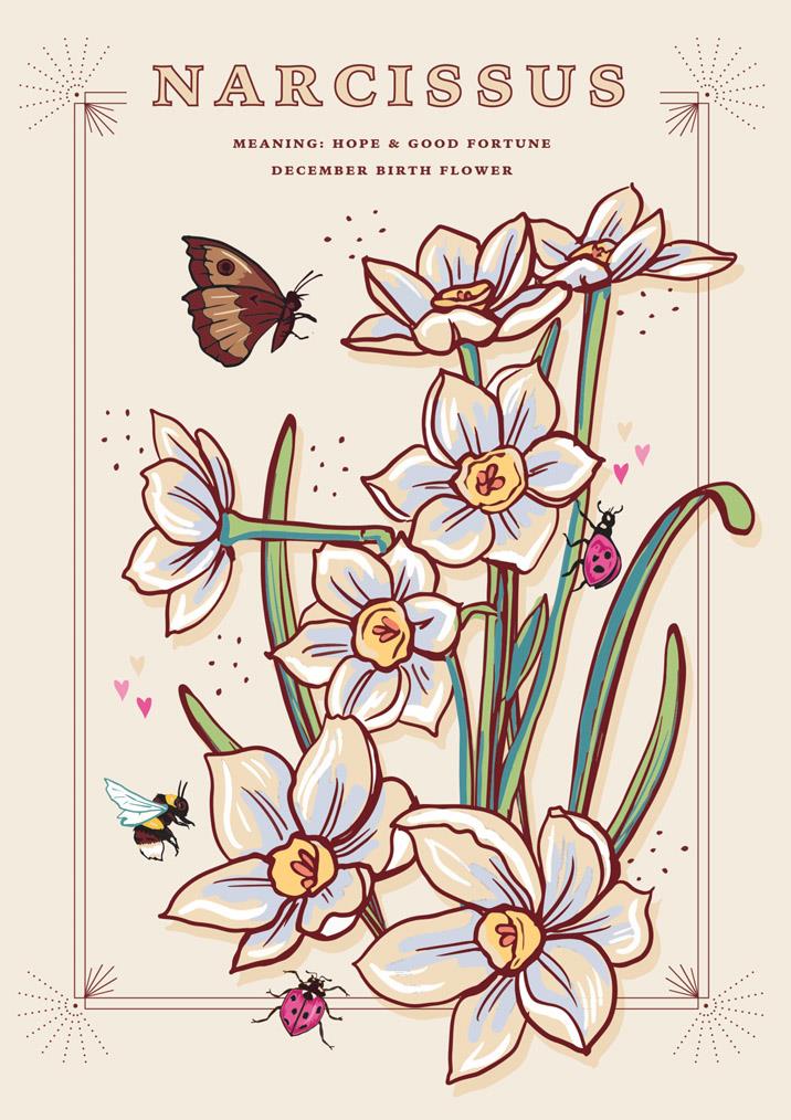 57AS126 - Carte de fleur de naissance Narcisse (décembre)