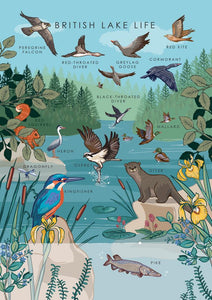 57AS133 - Carte de vœux Lake Life Nature Guide (6 cartes)