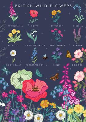 57AS58 - Guide de la nature des fleurs sauvages britanniques Carte de vœux