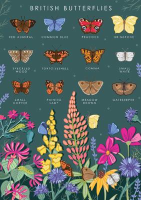 57AS61 - Guide naturel des papillons britanniques Carte de vœux