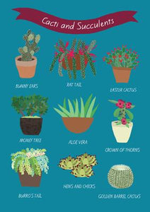 57BB09 - Cactus et plantes succulentes Carte de vœux